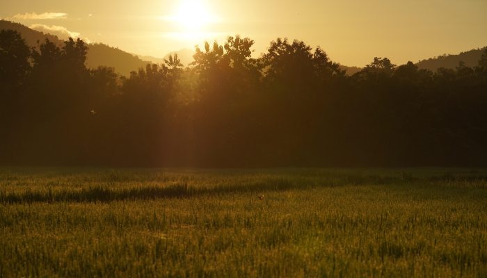 morning-7023560_1280